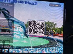 -海合安武汉极地海洋公园