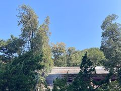 -潭柘寺景区