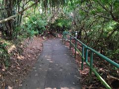 -南丫岛