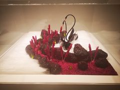 -罗红摄影艺术馆