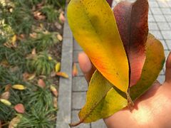 -杭州海军疗养院体检中心