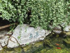-趵突泉景区