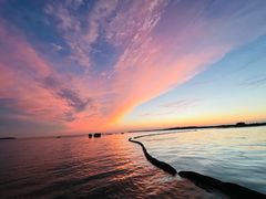 -西京湾花海