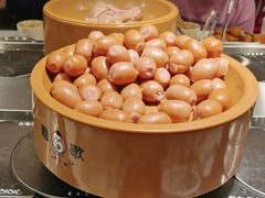 -龍歌自助小火锅(崂山丽达店)