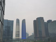 -合景·悠方(成都店)