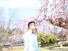 -醍醐寺