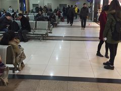 -上海长途汽车客运总站