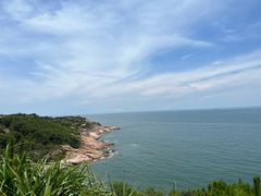 -广东惠东海龟国家级自然保护区