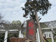 -无锡梅园公园