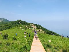 -白草畔自然风景区