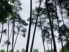 -保利石象湖景区