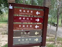 -西青郊野公园
