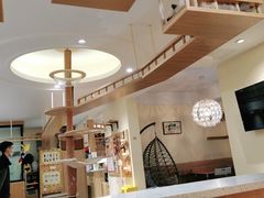 -滚猫咖啡·猫咖·猫友好撸猫(未来城店)