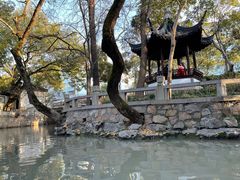 -秋霞圃