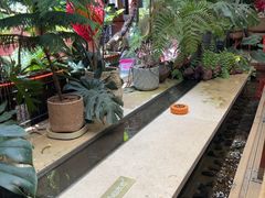-Tegu泰古莲·泰国餐厅(红山6979店)