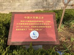 -烟墩角天鹅湖