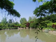 -嘉定紫藤园