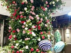 -翠湖湾海鲜音乐餐厅