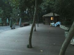 android_upload_pic-西院1号(龙井店)
