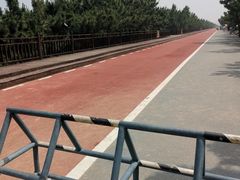 -日照海滨国家森林公园