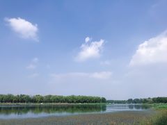 -素心小筑(后沙裕镇店)