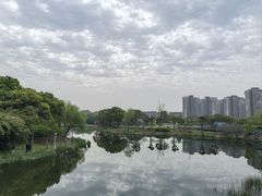 -新江湾城公园