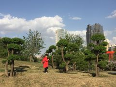 -群力丁香公园