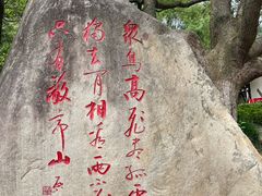 -敬亭山风景名胜区