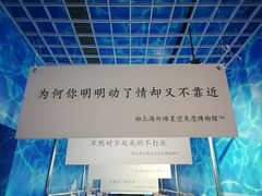 -上海外滩星空失恋减压馆(外滩旗舰馆)