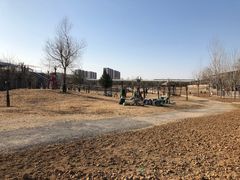 -北京鹿世界主题园
