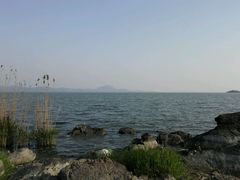 -上海市保健医疗中心(华东疗养院)