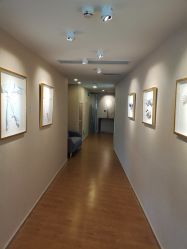 -海豚湾高端月子会所(黄浦店)