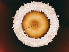 -迪拜帆船酒店海底餐厅