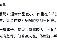 -学成饭店(北辰店)