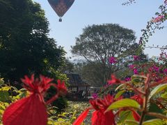 -中国科学院西双版纳热带植物园