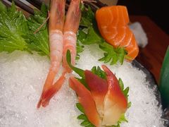 -鸟屋·烧鸟串烧居酒屋(新世纪广场店)
