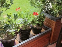 -思金拉措庄园藏餐(太阳岛店)