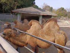 -无锡动物园·太湖欢乐园