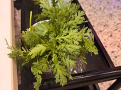 -八合里潮汕鲜牛肉火锅(上海汇智广场店)