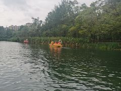 -花溪公园
