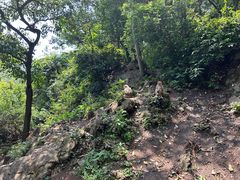 -黔灵山公园