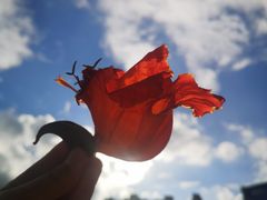 -金山锅贴店(金泉路店)