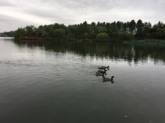 -上海怡沁园度假酒店