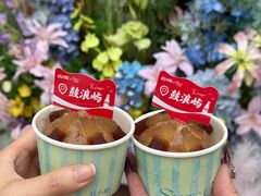 -苏小糖(鼓浪屿三丘田花园店)