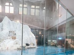 -帝企鹅自助餐厅•儿童岛•真企鹅(长隆企鹅酒店)