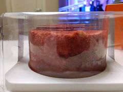 -ebeecake小蜜蜂蛋糕(酒仙桥店)