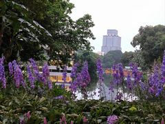 -荔湾湖公园