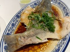 -至潮餐厅精致粤菜·活鲈鱼·走地鸡(珠江新城店)