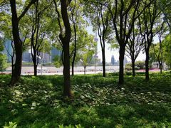 -北外滩滨江绿地