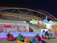 -沈阳奥体冰雪嘉年华